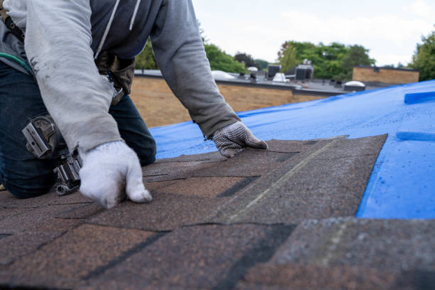 Best Roof Restoration Services  in North Wildwood, NJ