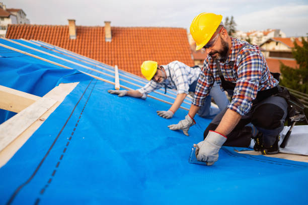 Best Flat Roof Repair Services  in North Wildwood, NJ