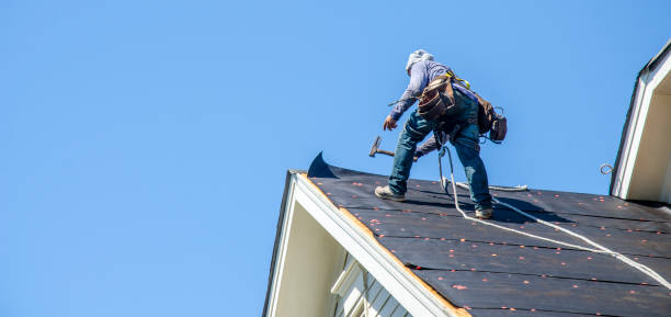 Best Flat Roof Repair Services  in North Wildwood, NJ